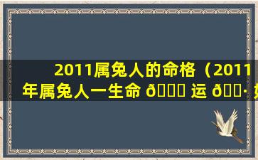 2011属兔人的命格（2011年属兔人一生命 🕊 运 🕷 如何）